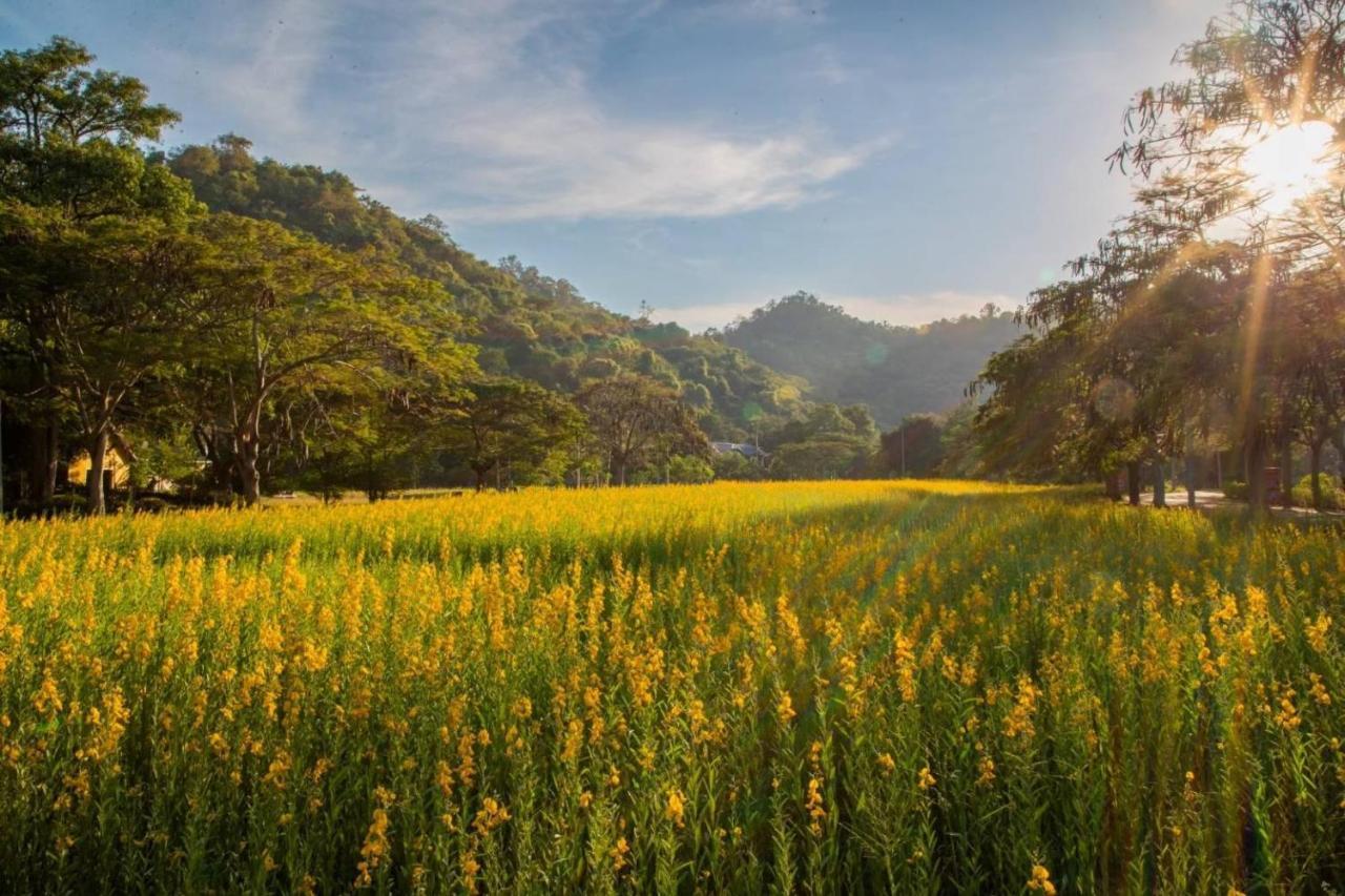 Diamond Hill Resort Nong Nam Daeng Exteriér fotografie