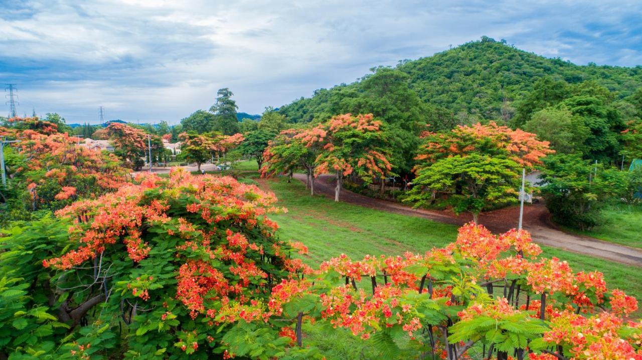 Diamond Hill Resort Nong Nam Daeng Exteriér fotografie